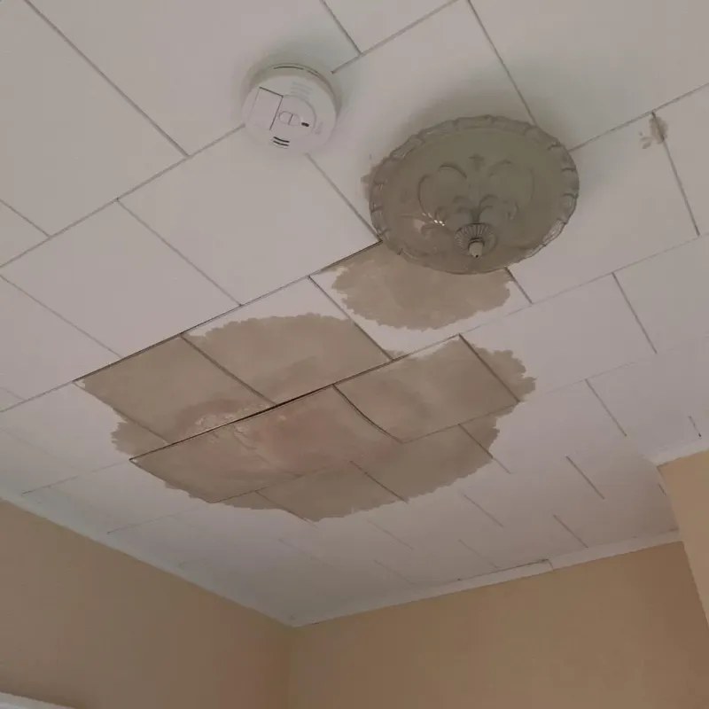 Ceiling Water Damage Repair in Burt, MI
