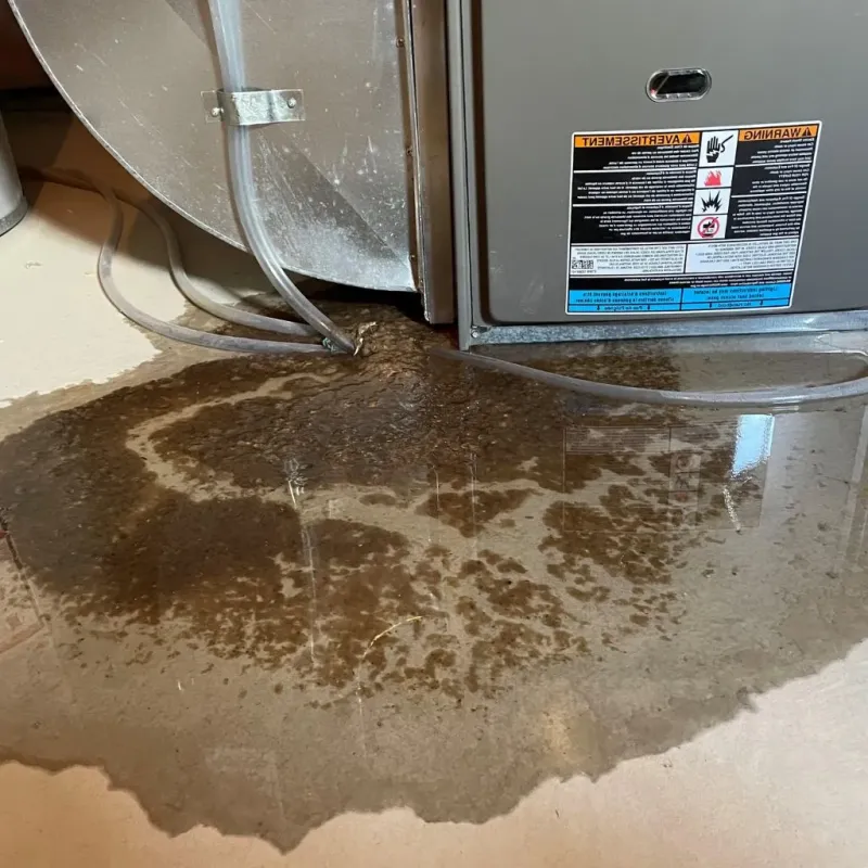 Pipe Burst and Leak Restoration in Burt, MI