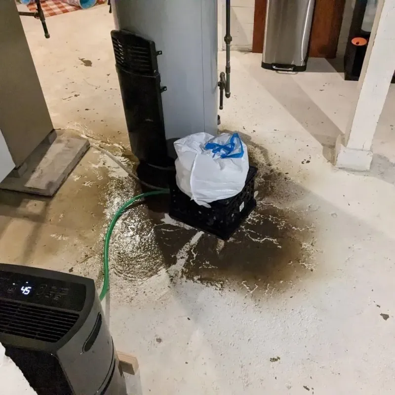 Sewage Backup Cleanup Service in Burt, MI